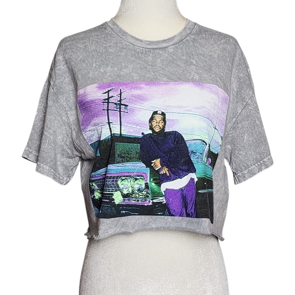 Ice Cube Gray Graphic Crop Top - Picture 1 of 6